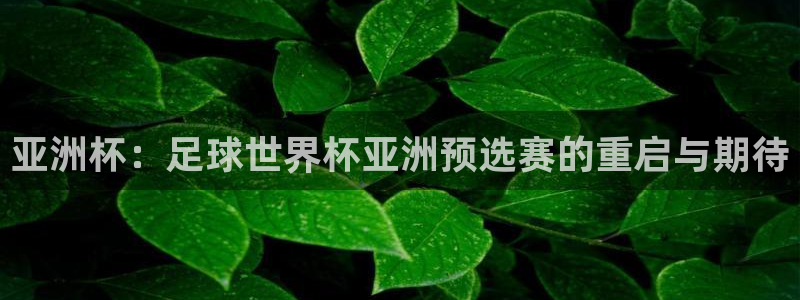 2026世界杯赛程：亚洲杯：足球世界杯亚洲预选赛的重启与期待