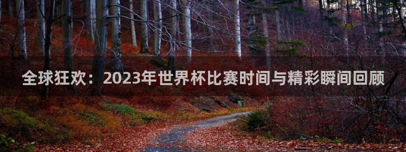 2026世界杯中国队：全球狂欢：2023年世界杯比赛时间与精彩瞬间回顾