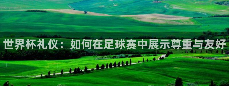世界杯附加赛赛程表：世界杯礼仪：如何在足球赛中展示尊重与友好