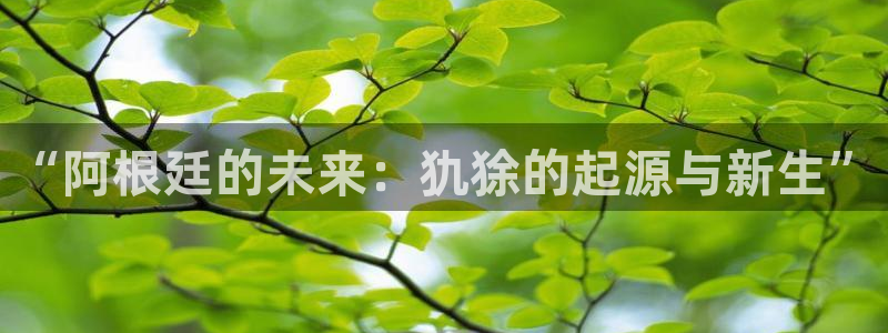 2006世界杯：“阿根廷的未来：犰狳的起源与新生”