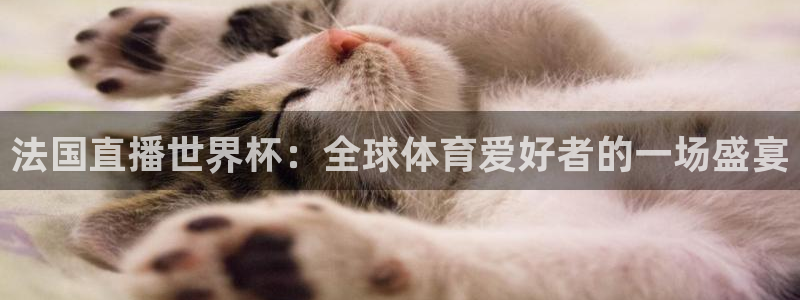 世界杯转播表：法国直播世界杯：全球体育爱好者的一场盛宴