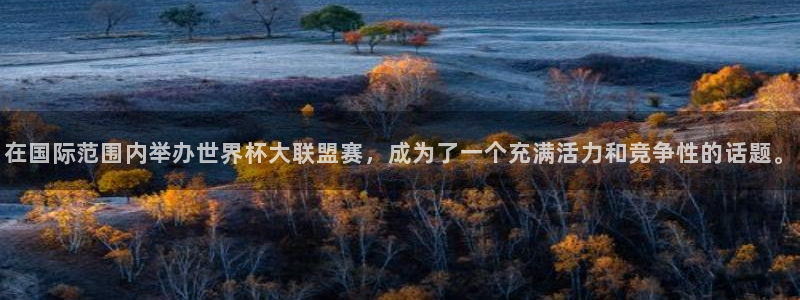 世界杯欧洲区预选赛：在国际范围内举办世界杯大联盟赛，成为了一个充满活力和竞争性的话题。