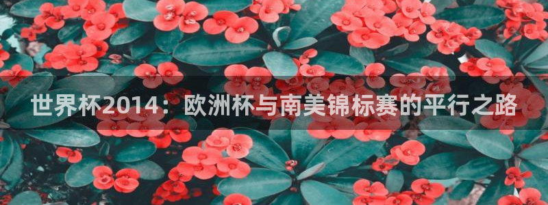 2026年世界杯：世界杯2014：欧洲杯与南美锦标赛的平行之路