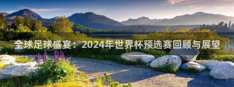 免费足球比赛直播高清：全球足球盛宴：2024年世界杯预选赛回顾与展望