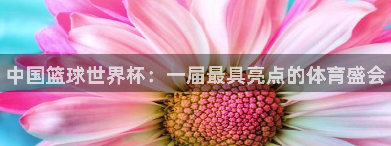 免费足球比赛直播高清：中国篮球世界杯：一届最具亮点的体育盛会