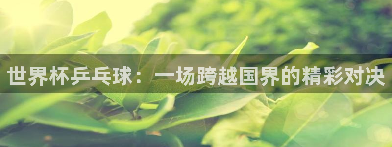 2026世界杯预选赛：世界杯乒乓球：一场跨越国界的精彩对决