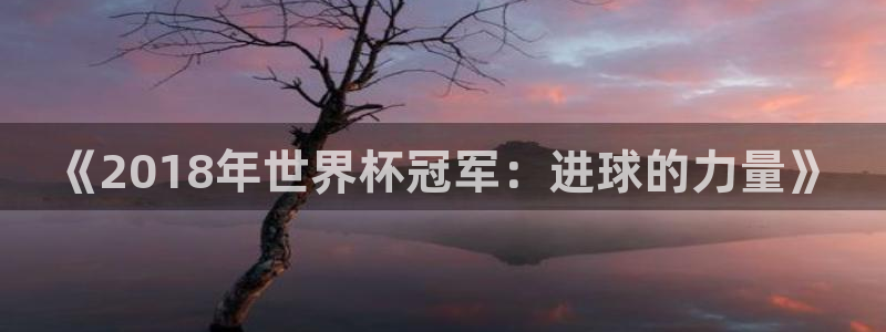 免费足球比赛直播高清：《2018年世界杯冠军：进球的力量》
