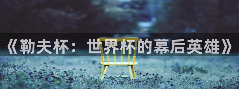 世界杯比赛赛程：《勒夫杯：世界杯的幕后英雄》