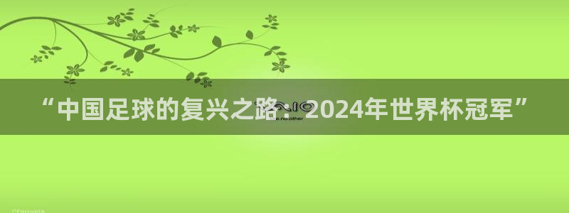 世界杯 直播：“中国足球的复兴之路：2024年世界杯冠军”