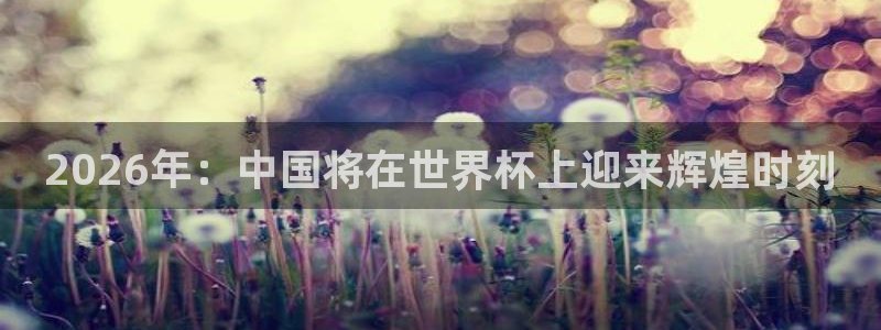 2026世界杯官网：2026年：中国将在世界杯上迎来辉煌时刻